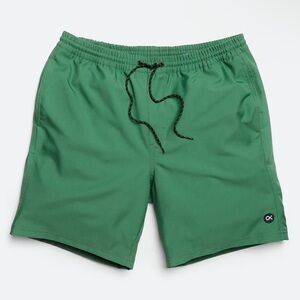 Outerknown Nomadic Volley Shorts Mens Jade Trunks Swim
